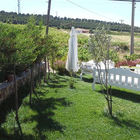 בוזקאדה Aspasia House מראה חיצוני תמונה