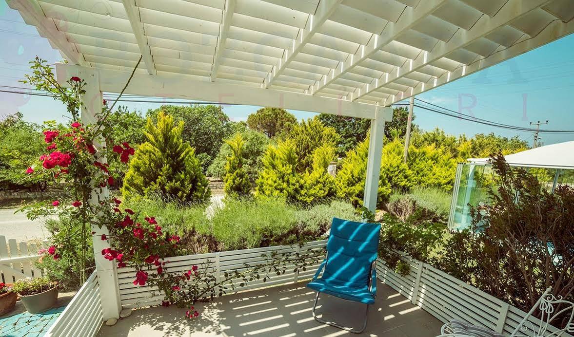 בוזקאדה Aspasia House מראה חיצוני תמונה